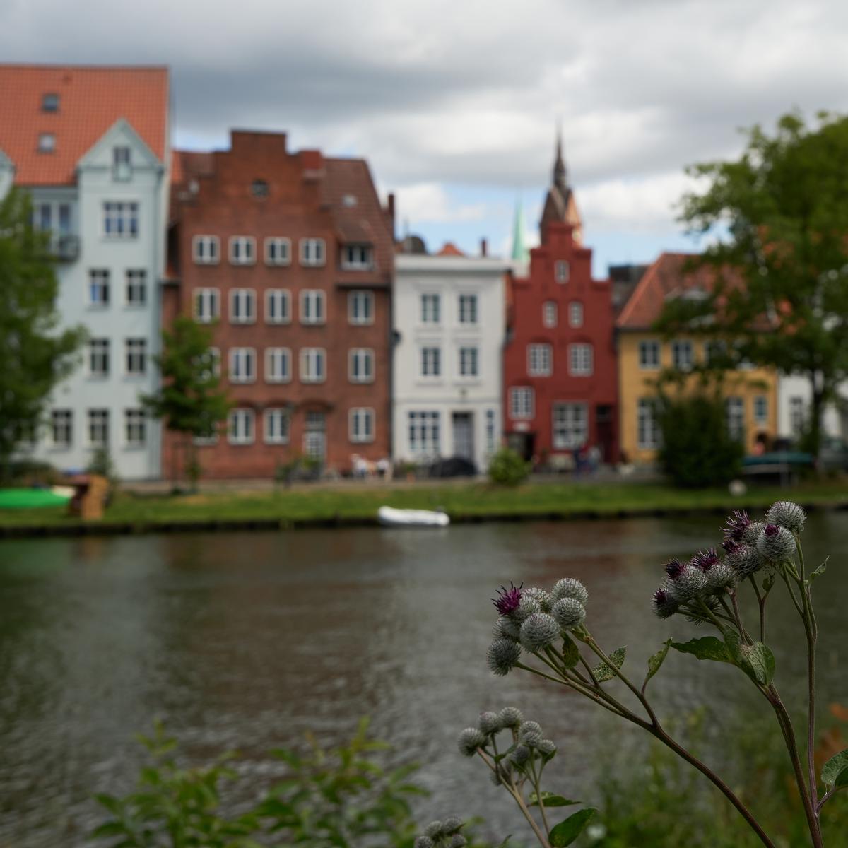 Current Gallery: Lübeck