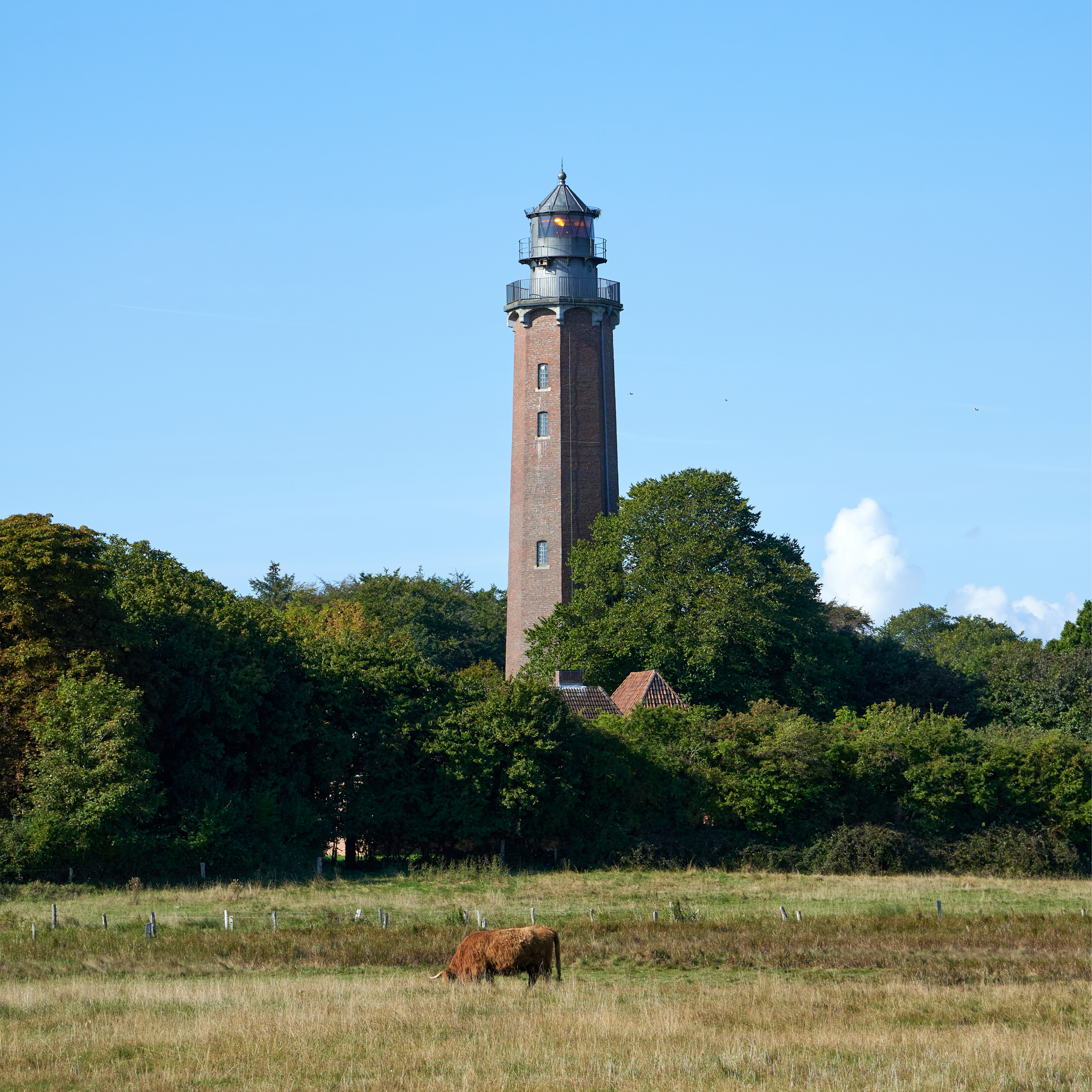 Gallery: leuchtturm-neuland