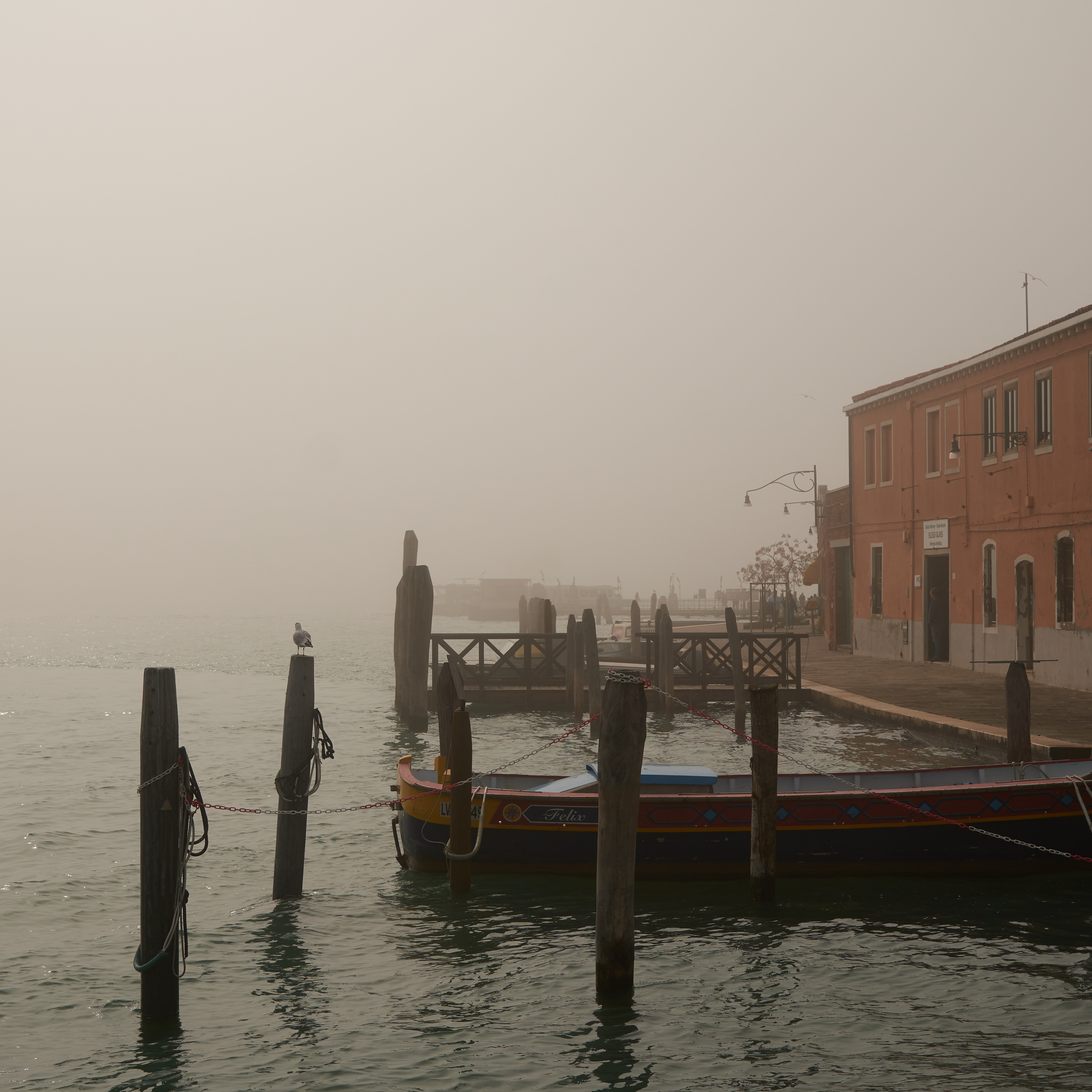 Gallery: 2023-03-murano