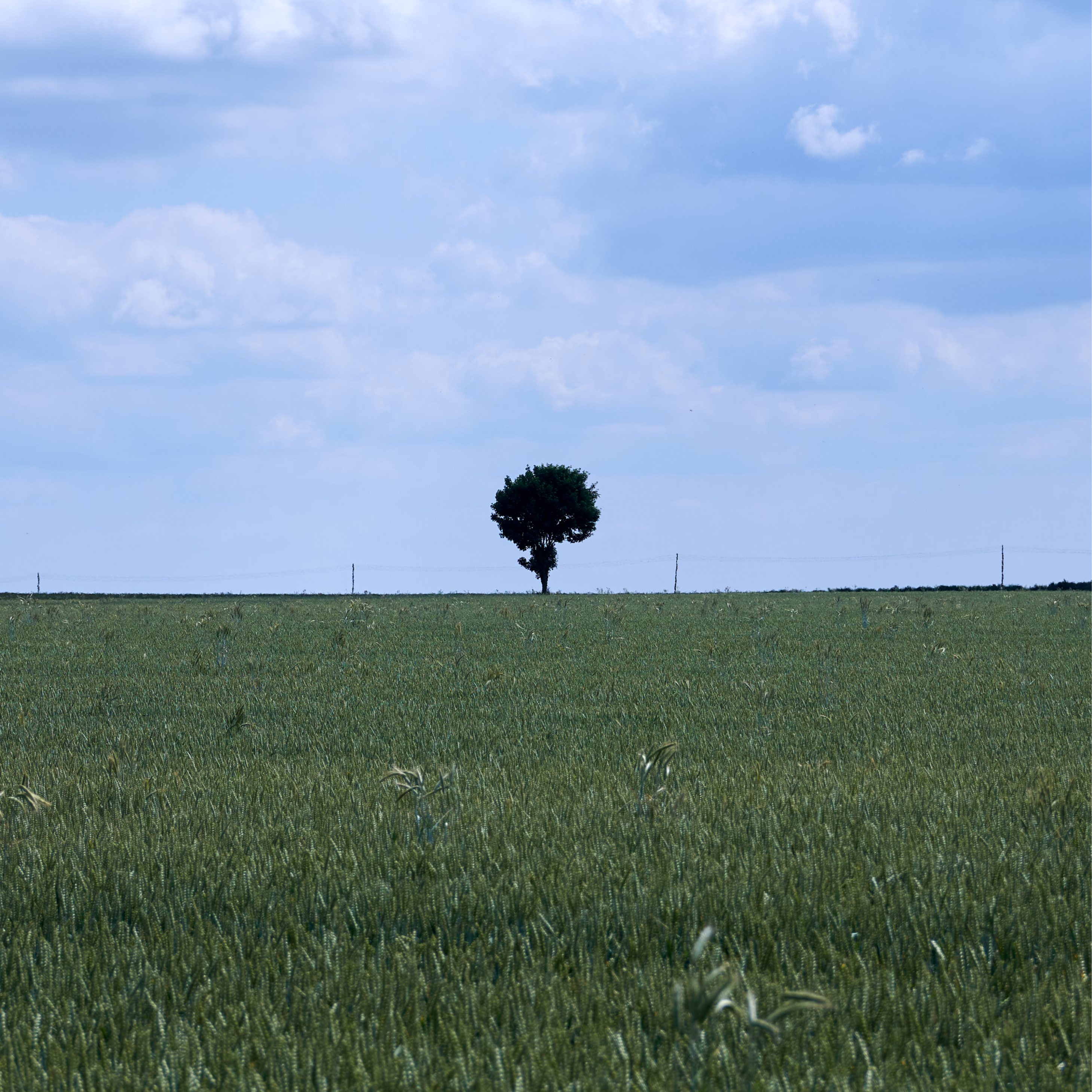 Current Gallery: Fahrradtour