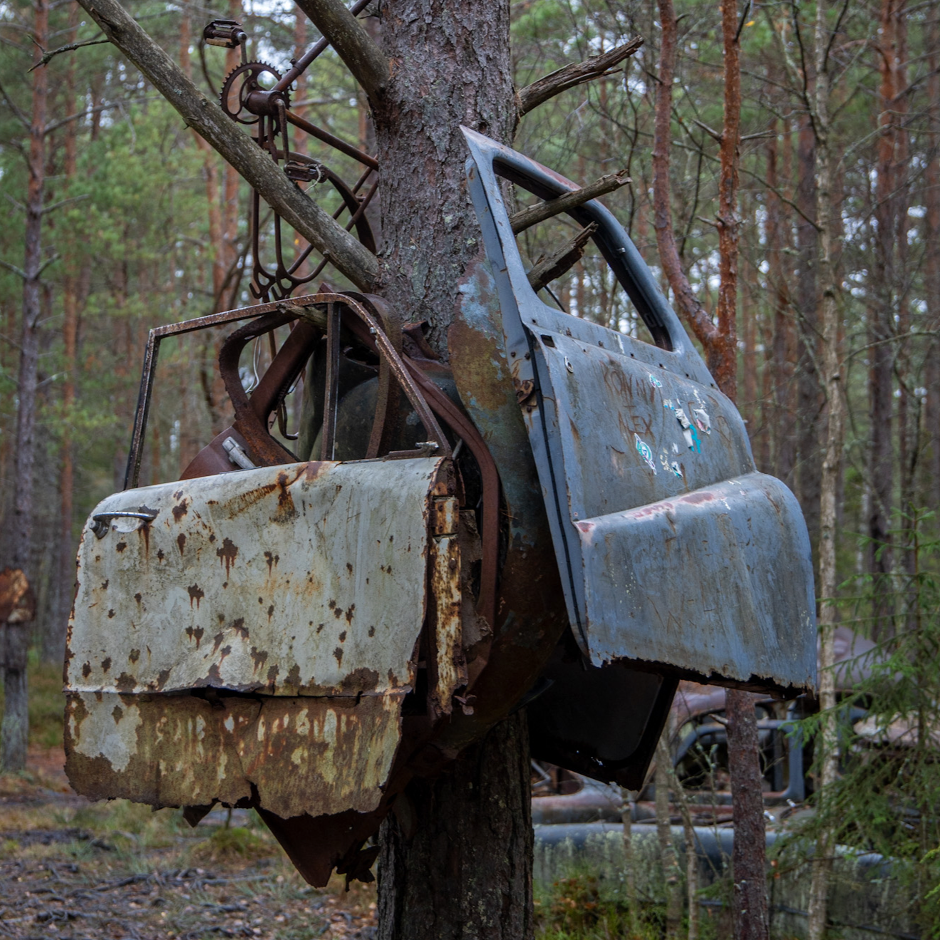 Gallery: 2024-10-schweden-autofriedhof