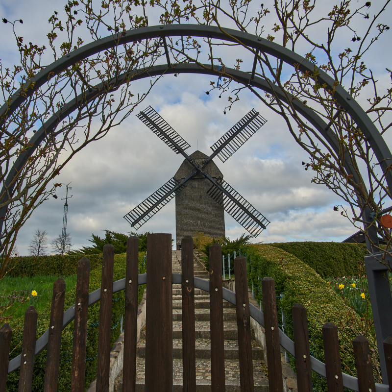 Current Gallery: Marzahner Bockwindmühle