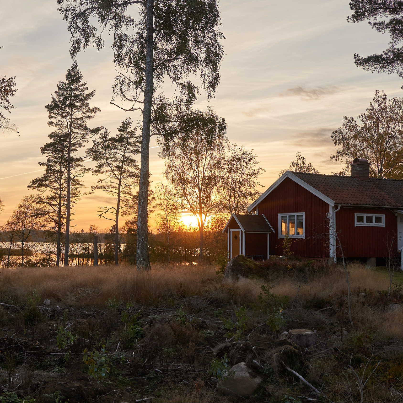 Gallery: 2021-10-schweden-sonnenuntergang